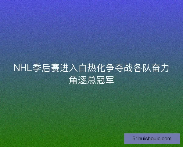 NHL季后赛进入白热化争夺战各队奋力角逐总冠军 NHL季后赛进入白热化争夺战各队奋力角逐总冠军
